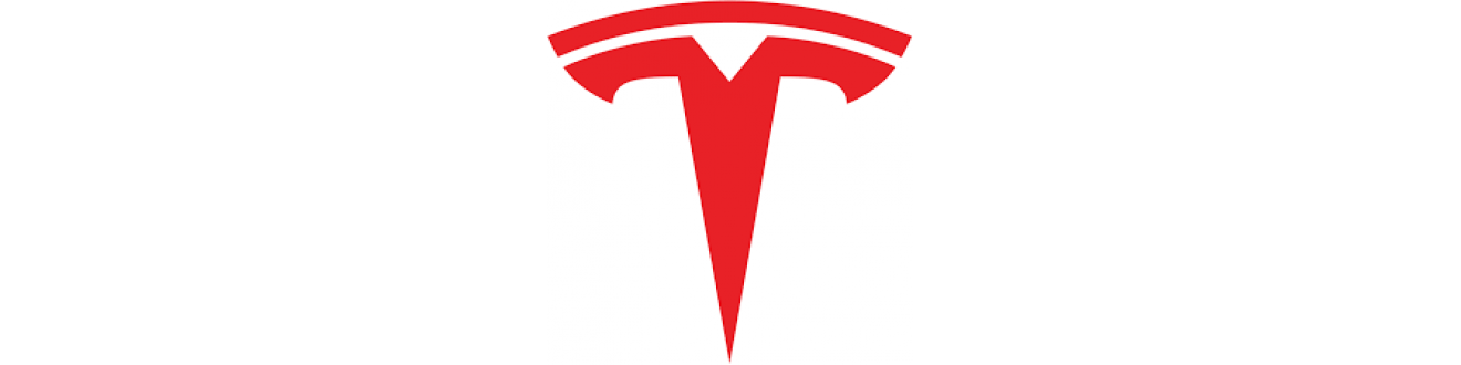 TESLA TESLA